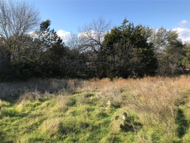 Lot is located across the road from Kenner Lake I - North Lake on White Bluff Resort - Old Course in Texas - for sale on GolfHomes.com, golf home, golf lot