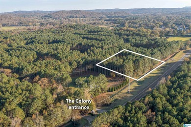 Discover your dream homesite on this expansive 2.35-acre estate on Pine Hill Country Club in Alabama - for sale on GolfHomes.com, golf home, golf lot