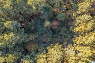 Discover your dream homesite on this expansive 2.35-acre estate on Pine Hill Country Club in Alabama - for sale on GolfHomes.com, golf home, golf lot