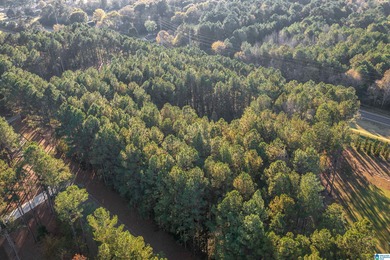 Discover your dream homesite on this expansive 2.35-acre estate on Pine Hill Country Club in Alabama - for sale on GolfHomes.com, golf home, golf lot