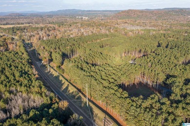 Discover your dream homesite on this expansive 2.35-acre estate on Pine Hill Country Club in Alabama - for sale on GolfHomes.com, golf home, golf lot