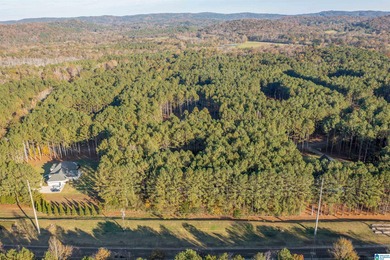 Discover your dream homesite on this expansive 2.35-acre estate on Pine Hill Country Club in Alabama - for sale on GolfHomes.com, golf home, golf lot