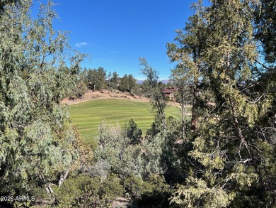 This one-acre golf course home site is located on the fantastic on The Rim Golf Club in Arizona - for sale on GolfHomes.com, golf home, golf lot