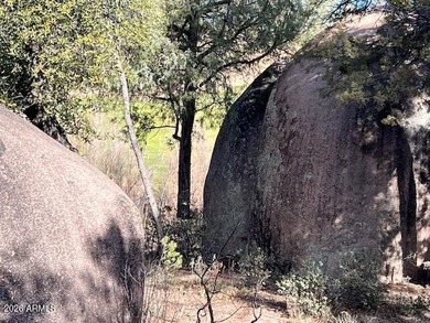 This one-acre golf course home site is located on the fantastic on The Rim Golf Club in Arizona - for sale on GolfHomes.com, golf home, golf lot