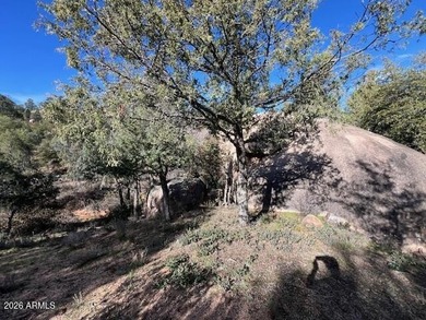 This one-acre golf course home site is located on the fantastic on The Rim Golf Club in Arizona - for sale on GolfHomes.com, golf home, golf lot