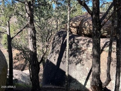 This one-acre golf course home site is located on the fantastic on The Rim Golf Club in Arizona - for sale on GolfHomes.com, golf home, golf lot