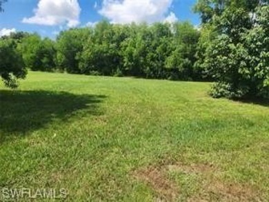 Build your dream home on this spacious .43-acre lot, perfectly on Eagle Lakes Golf Club in Florida - for sale on GolfHomes.com, golf home, golf lot
