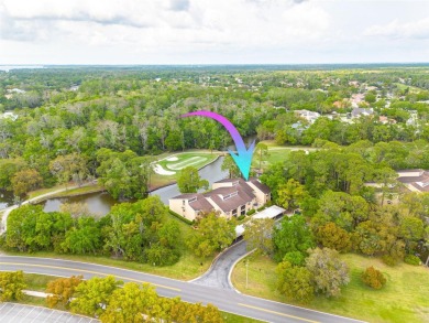 A true breath of fresh Air! Welcome to this exceptionally on East Lake Woodlands Country Club in Florida - for sale on GolfHomes.com, golf home, golf lot