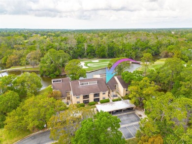 A true breath of fresh Air! Welcome to this exceptionally on East Lake Woodlands Country Club in Florida - for sale on GolfHomes.com, golf home, golf lot