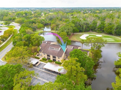 A true breath of fresh Air! Welcome to this exceptionally on East Lake Woodlands Country Club in Florida - for sale on GolfHomes.com, golf home, golf lot
