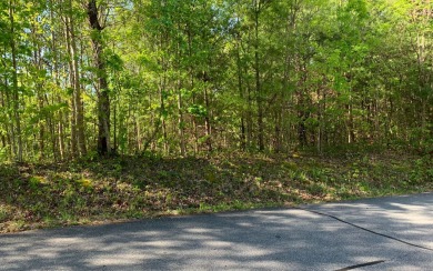 BIG NORTH CAROLINA MOUNTAIN VIEWS!! This 4.02 acre lot offers on Mountain Harbour Golf Club in North Carolina - for sale on GolfHomes.com, golf home, golf lot