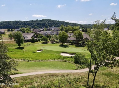 THIS IS THE VIEW!  Experience the stunning view of #15 Green at on Tennessee National Golf Club in Tennessee - for sale on GolfHomes.com, golf home, golf lot