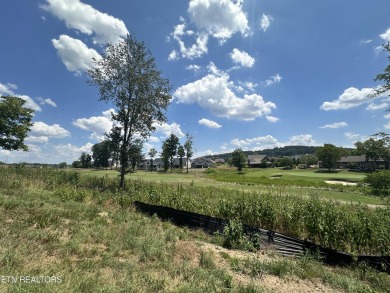 THIS IS THE VIEW!  Experience the stunning view of #15 Green at on Tennessee National Golf Club in Tennessee - for sale on GolfHomes.com, golf home, golf lot