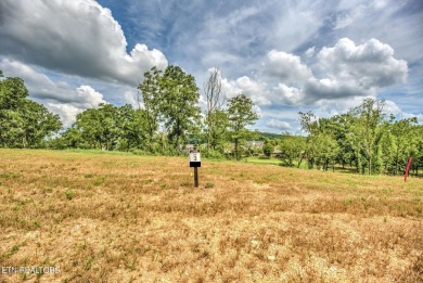 THIS IS THE VIEW!  Experience the stunning view of #15 Green at on Tennessee National Golf Club in Tennessee - for sale on GolfHomes.com, golf home, golf lot