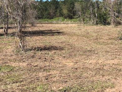 Don't miss this mostly cleared building lot in Foxboro! Existing on Foxboro Golf Club in South Carolina - for sale on GolfHomes.com, golf home, golf lot