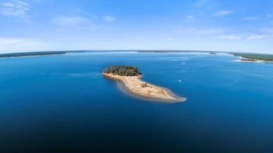 Beachrock Dr in Rayburn Country. A Hidden Gem Nestled in the on Rayburn Country Club in Texas - for sale on GolfHomes.com, golf home, golf lot