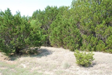 Get away from in all in White Bluff Resort.  Enjoy peace & on White Bluff Resort - New Course in Texas - for sale on GolfHomes.com, golf home, golf lot