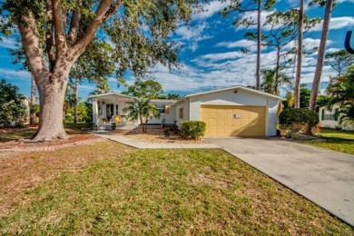 If a beautiful furnished home with many updates is what your on Pine Lakes Country Club in Florida - for sale on GolfHomes.com, golf home, golf lot
