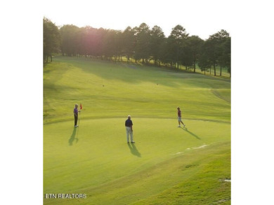 Located in the highly desirable area of Tanasi Shores, this home on Tanasi Golf Course in Tennessee - for sale on GolfHomes.com, golf home, golf lot
