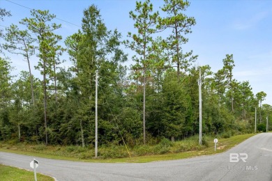 Exceptional residential lot, 1.24 acre, in the beautiful on Steelwood Country Club in Alabama - for sale on GolfHomes.com, golf home, golf lot