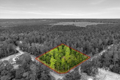 Exceptional residential lot, 1.24 acre, in the beautiful on Steelwood Country Club in Alabama - for sale on GolfHomes.com, golf home, golf lot