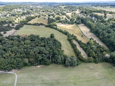 LOCATION, LOCATION, LOCATION! 66.7 ACRES in the City of on  in Tennessee - for sale on GolfHomes.com, golf home, golf lot