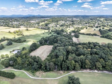 LOCATION, LOCATION, LOCATION! 66.7 ACRES in the City of on  in Tennessee - for sale on GolfHomes.com, golf home, golf lot