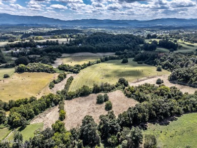 LOCATION, LOCATION, LOCATION! 66.7 ACRES in the City of on  in Tennessee - for sale on GolfHomes.com, golf home, golf lot