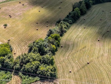 LOCATION, LOCATION, LOCATION! 66.7 ACRES in the City of on  in Tennessee - for sale on GolfHomes.com, golf home, golf lot