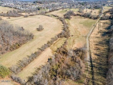LOCATION, LOCATION, LOCATION! 66.7 ACRES in the City of on  in Tennessee - for sale on GolfHomes.com, golf home, golf lot