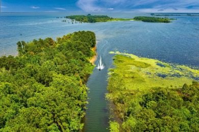 Welcome to Somerset Ranches, the only new ranch homes with on Lake Marion Golf Club in South Carolina - for sale on GolfHomes.com, golf home, golf lot