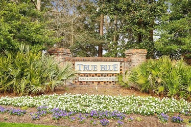 If playing golf, walking the beach, viewing the magnificent on True Blue Plantation in South Carolina - for sale on GolfHomes.com, golf home, golf lot