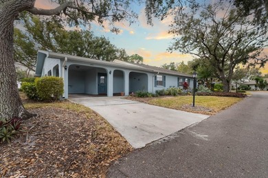One or more photo(s) has been virtually staged. Enjoy relaxed on Falcon Watch Golf Club in Florida - for sale on GolfHomes.com, golf home, golf lot