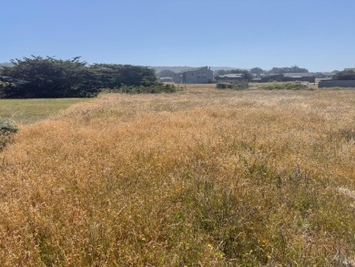 One of the last really great oceanfront lots. Frontage at the on Sea Ranch Golf Links in California - for sale on GolfHomes.com, golf home, golf lot