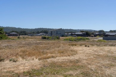 One of the last really great oceanfront lots. Frontage at the on Sea Ranch Golf Links in California - for sale on GolfHomes.com, golf home, golf lot