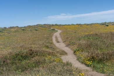 One of the last really great oceanfront lots. Frontage at the on Sea Ranch Golf Links in California - for sale on GolfHomes.com, golf home, golf lot