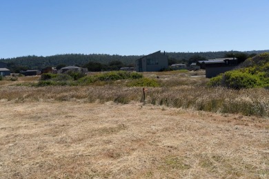 One of the last really great oceanfront lots. Frontage at the on Sea Ranch Golf Links in California - for sale on GolfHomes.com, golf home, golf lot