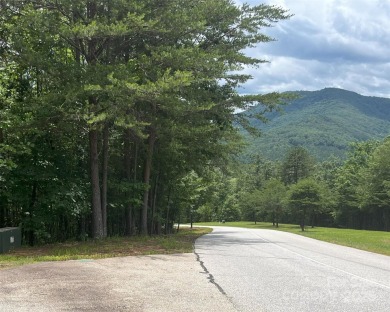 Beautiful building lot with big, bold mountain viewse build your on Brights Creek Golf Course in North Carolina - for sale on GolfHomes.com, golf home, golf lot
