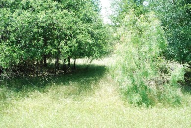 Nice corner lot with views of the #10 Hole and #11 T-Box of Old on White Bluff Resort - Old Course in Texas - for sale on GolfHomes.com, golf home, golf lot