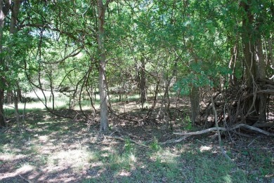 Nice corner lot with views of the #10 Hole and #11 T-Box of Old on White Bluff Resort - Old Course in Texas - for sale on GolfHomes.com, golf home, golf lot