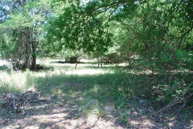 Nice corner lot with views of the #10 Hole and #11 T-Box of Old on White Bluff Resort - Old Course in Texas - for sale on GolfHomes.com, golf home, golf lot