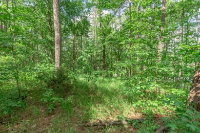 Located on the 6th fairway of the renowned National Golf Course on Reynolds Lake Oconee - The Oconee in Georgia - for sale on GolfHomes.com, golf home, golf lot
