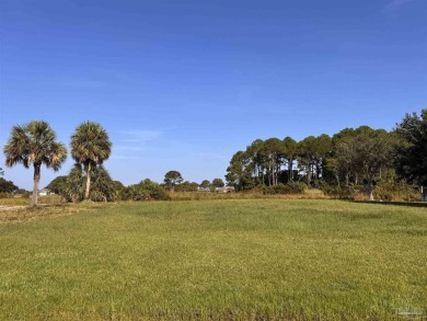 Incredible lot with unobstructed views of Tiger Point Golf on Tiger Point Golf and Country Club in Florida - for sale on GolfHomes.com, golf home, golf lot
