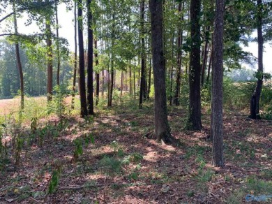 Large partially wooded lot in beautiful establised neighboorhood on Twin Lakes Golf Course in Alabama - for sale on GolfHomes.com, golf home, golf lot