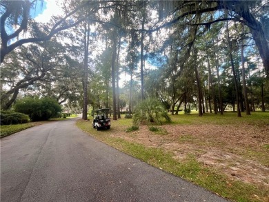 Gorgeous Lot on the Golf Course in Sutherland Bluff! Wonderful on Sapelo Hammock Golf Club in Georgia - for sale on GolfHomes.com, golf home, golf lot
