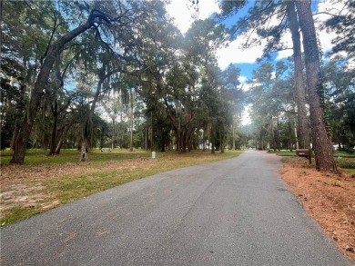 Gorgeous Lot on the Golf Course in Sutherland Bluff! Wonderful on Sapelo Hammock Golf Club in Georgia - for sale on GolfHomes.com, golf home, golf lot