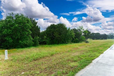 Rare opportunity to own on a premier golf course at The Retreat! on The Retreat in Texas - for sale on GolfHomes.com, golf home, golf lot