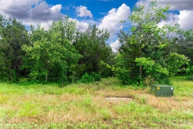 Rare opportunity to own on a premier golf course at The Retreat! on The Retreat in Texas - for sale on GolfHomes.com, golf home, golf lot