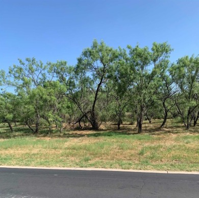 Build your dream home in highly desirable Horseshoe Bay, Tx on Slick Rock Golf Course - Horseshoe Bay in Texas - for sale on GolfHomes.com, golf home, golf lot