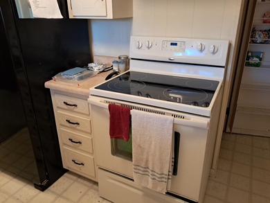 LARGE, SINGLE LEVEL HOME, SMALL PRICE!! This almost 2000 sq. ft on Cherokee Village North Course in Arkansas - for sale on GolfHomes.com, golf home, golf lot